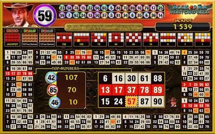 Book of Ra Multi Card Bingo deluxe screenshot