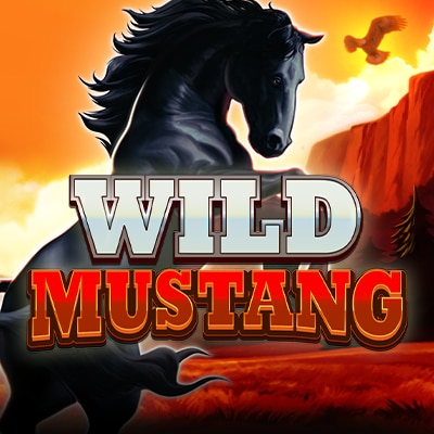 Wild Mustang