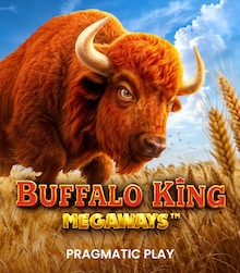 Buffalo King Megaways