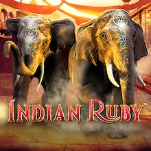 Indian Ruby