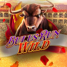 Bulls Run Wild