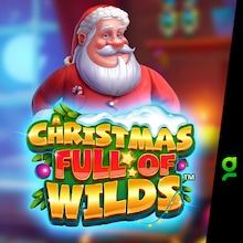 A Christmas Full of Wilds
