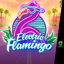 Electric Flamingo™
