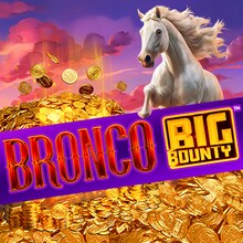 Bronco Big Bounty™