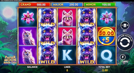 Panther Moon: Bonus Lines screenshot