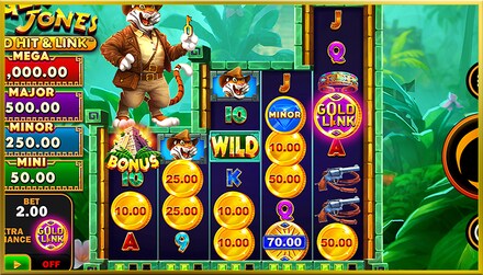 Gold Hit & Link: Tiger Jones screenshot