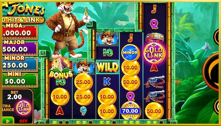 Gold Hit & Link: Tiger Jones screenshot