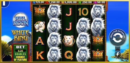 Full Moon: White King PowerPlay Jackpot screenshot