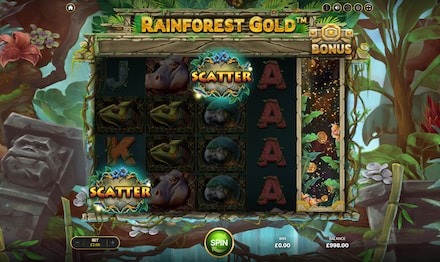 Rainforest Gold screenshot