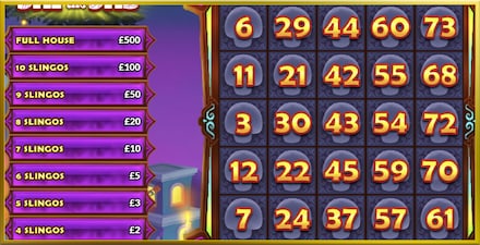 Slingo Day of the Dab screenshot