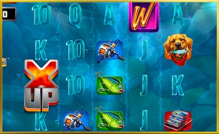 Bass Cash X UP screenshot