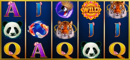 Fu Frog Animals screenshot