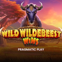 Wild Wildebeest Wins