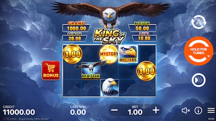 King of the Sky: Hit the Bonus screenshot