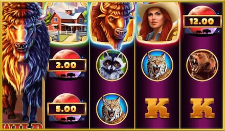 Bison Moon Power Combo screenshot