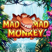 Mad Mad Monkey HQ