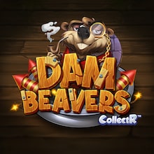 Dam Beavers