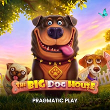 The Big Dog House