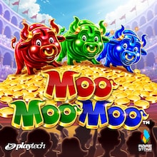 Moo Moo Moo