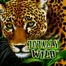 Totally Wild