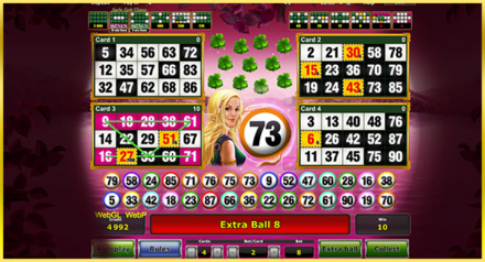 Lucky Lady Bingo screenshot
