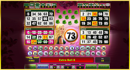 Lucky Lady Bingo screenshot